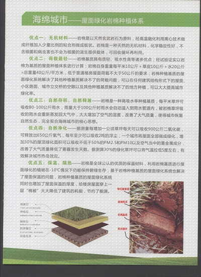 ֲ̻֮