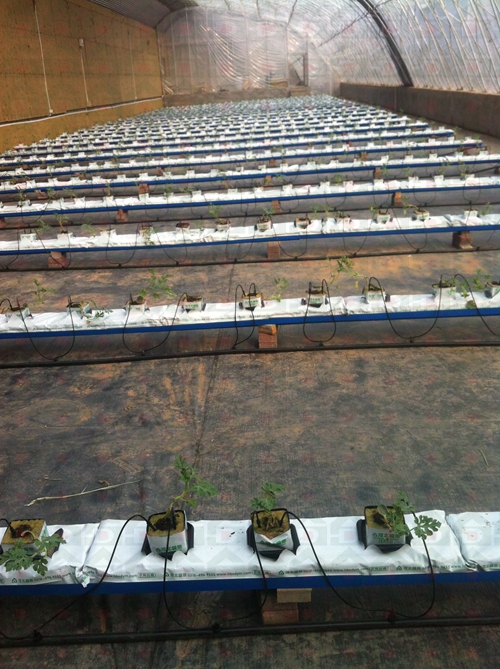 ��������������