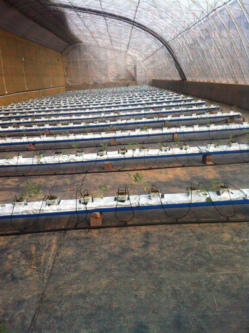 ��������������