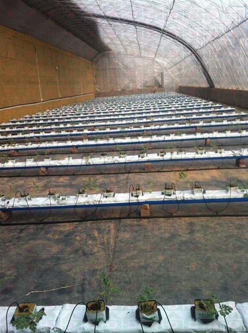 ������������