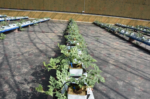 ������������