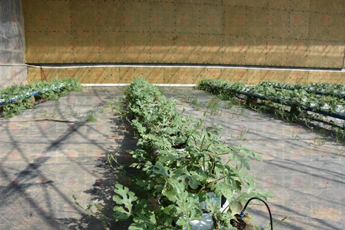 ������������