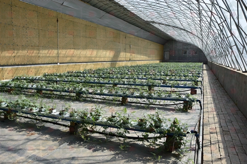 ������������