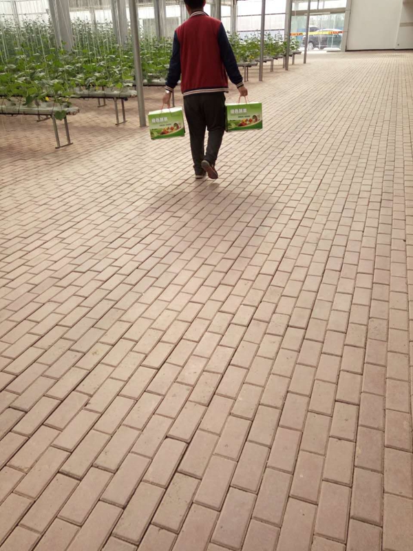 ʢ
